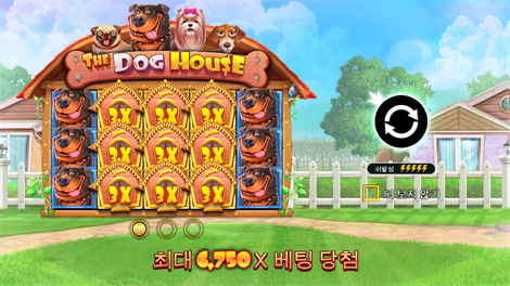 카이센즈 골드